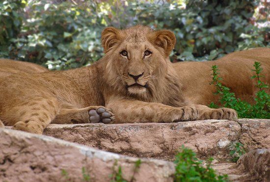 Jardin zoologique de Barcelone